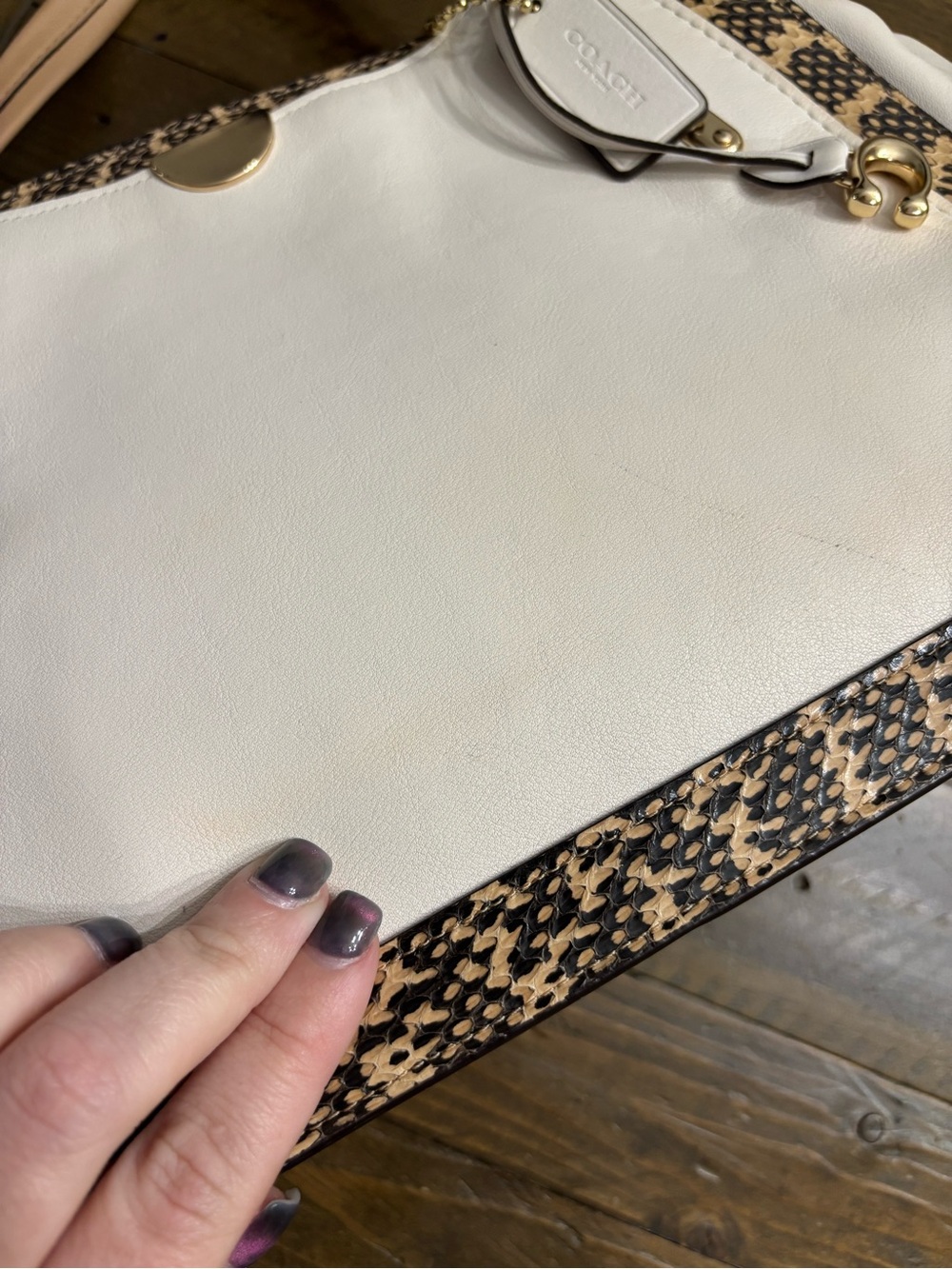 Coach Dreamer 36 in Colorblock with Snake Detail - Picture 7 of 16